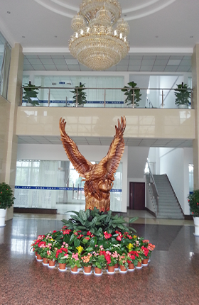 Office environment